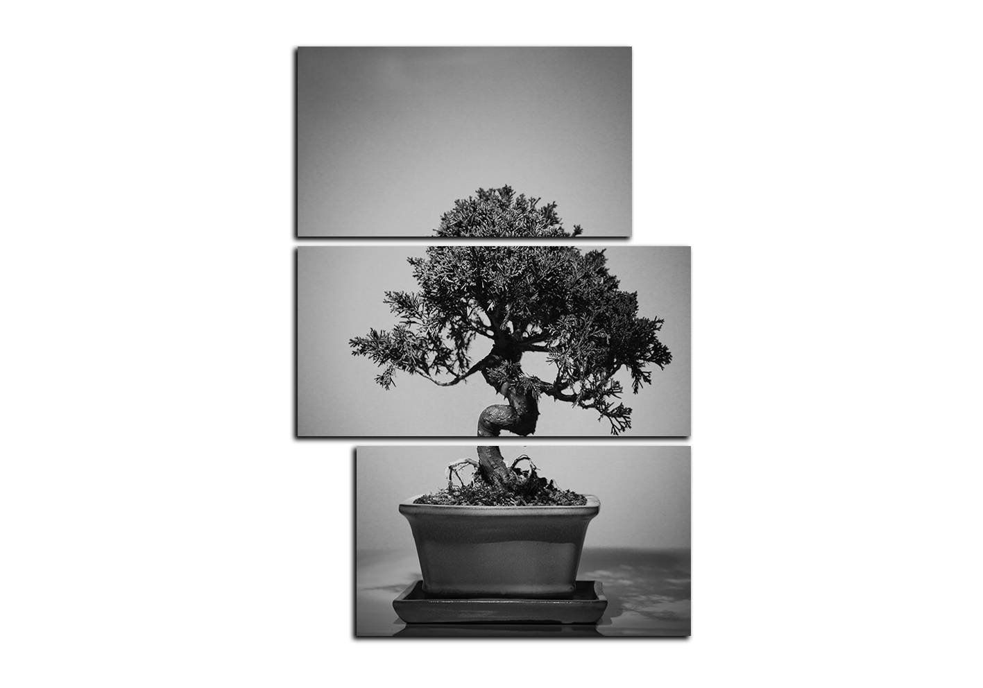 Obraz na plátně - Bonsai - obdélník Obraz na plátně - Bonsai - obdélník
